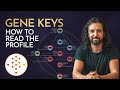 Gene Keys How To