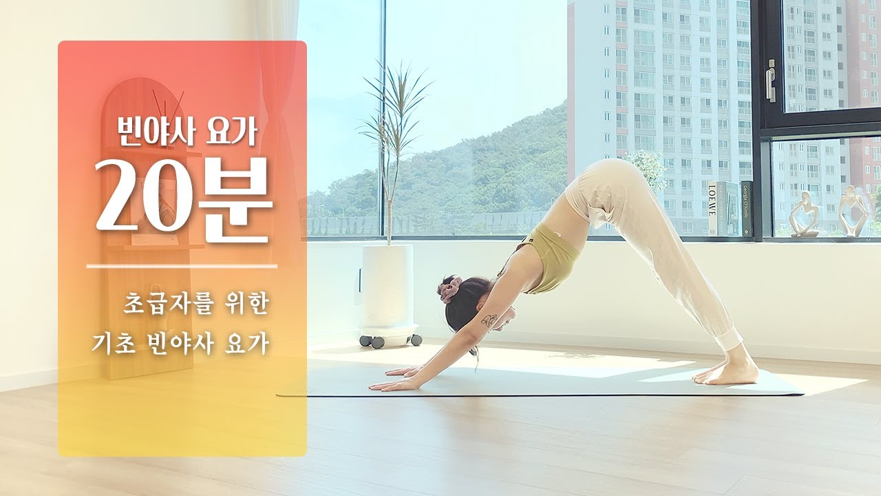초보도 할 수 있는 빈야사 요가 | 20분 기초요가 스트레칭