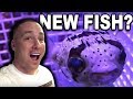 SHOPPING FOR MORE FISH! SHOPPING FOR MORE FISH!