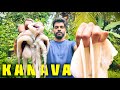 നീരാളി പിടുത്തം | kerala style squid roast recipe | koothal roast #youtube #food #cooking #seafood