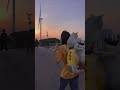 全网最爱铲屎官的猫 带我家猫看夕阳,夕阳很美,阿咪也很听话,一呼唤就过来#阿咪 #猫 #cat #喵哥是萌新 #貓咪 #喵哥是萌新 #貓咪 #萌寵