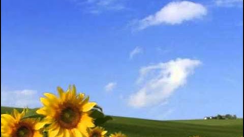 سورة الناس ~ القارئ وليد مصباح