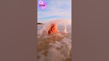 آيات من الذكر الحكيم للمقرئ ياسر الدوسري 🌴