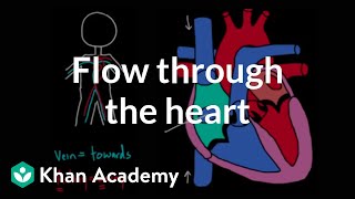 Flow Through The Heart Circulatory System Physiology Nclex-Rn Khan Academy