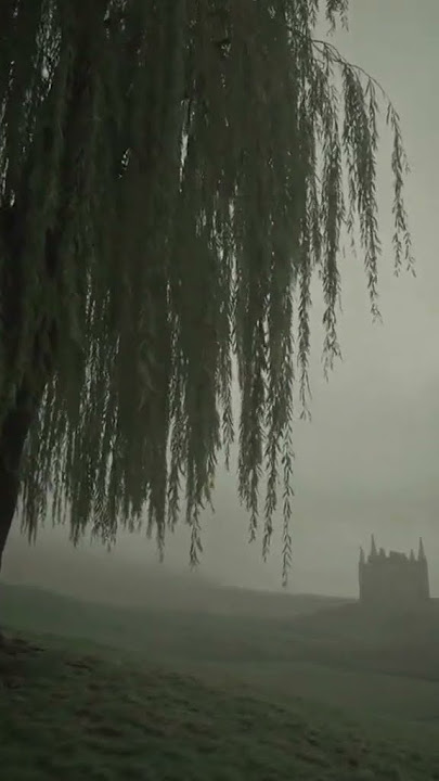 Dark Vibes from 1423