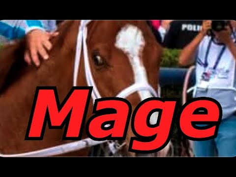 Bets on Kentucky Derby 2023, won by Mage at 15-1 odds, set new ...