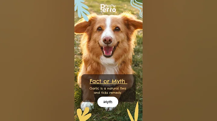 Myth Debunked: Garlic is NOT an Effective Natural Flea and Tick Remedy for Dogs and Cats