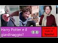 Giardinaggio con Harry Potter: come creare un'aiuola di spezie