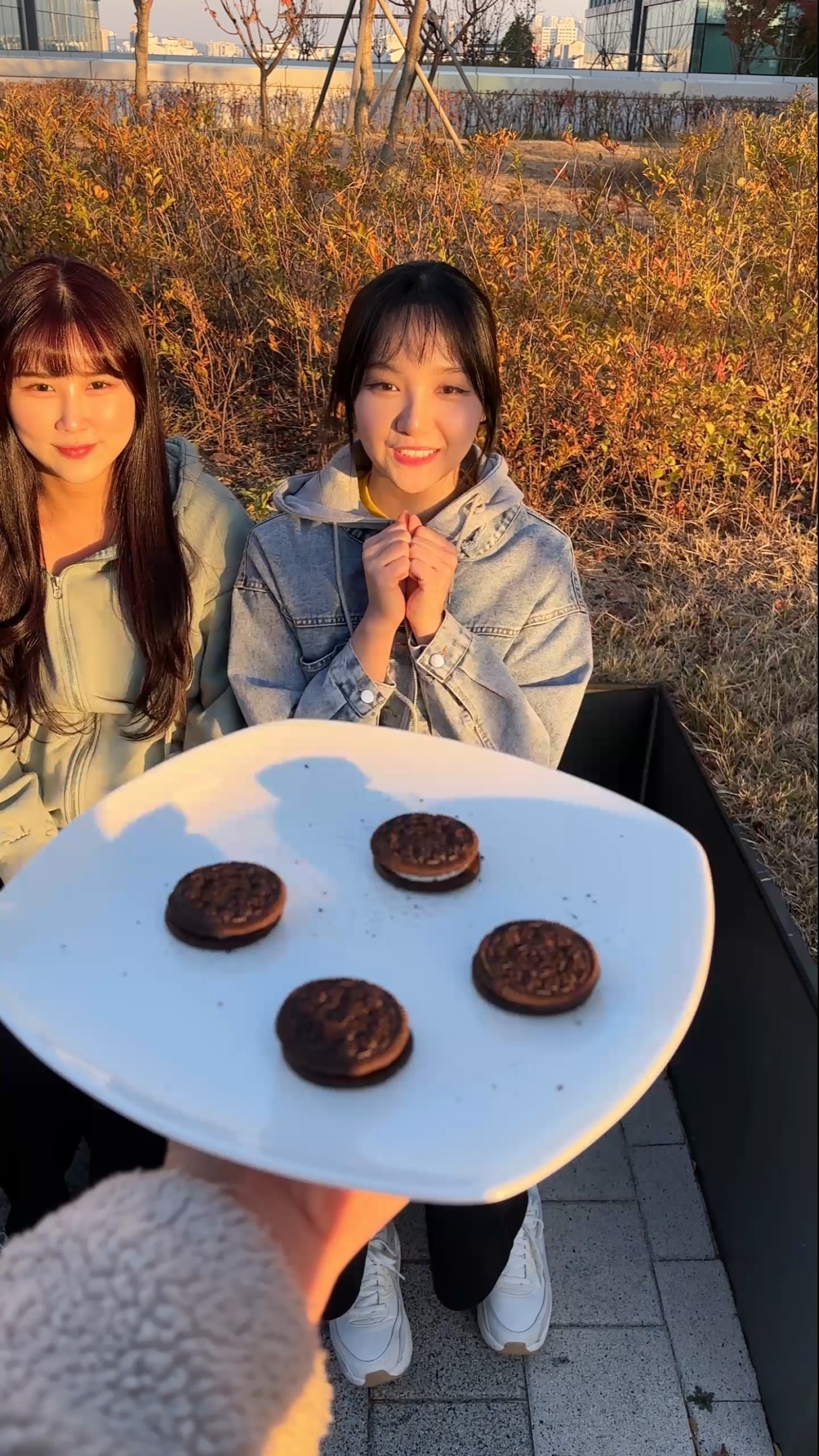 사랑을 나눠요?