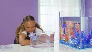 Little Live Pets Lil Dippers How To Care Play