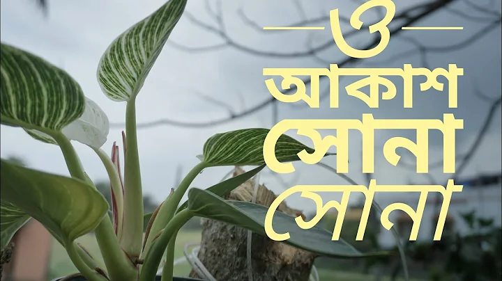O Akash Sona Sona || Indranil Dasgupta || hemanta ...