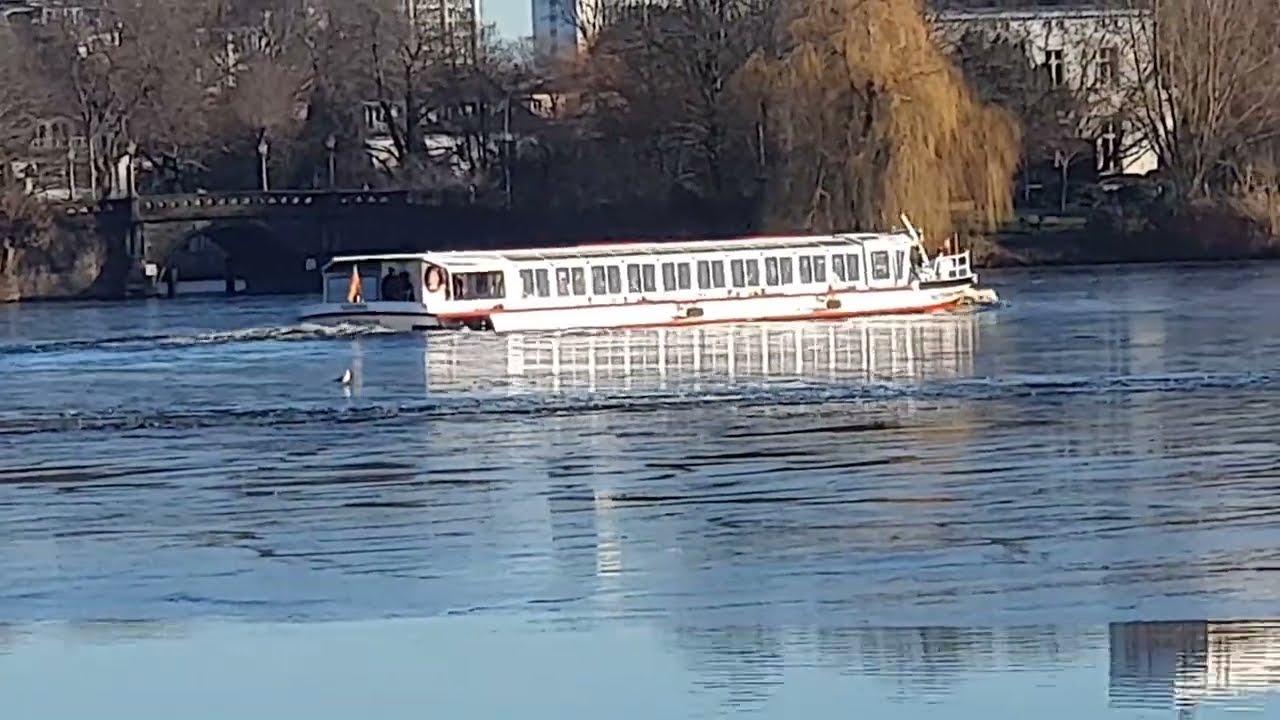 Hamburger Alsterdampfer crushes ice on alster 2026 - Frozen Sunday in Hamburg