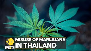 Thailand: Dispute over marijuana industry as APEC leaders gather in Bangkok | Latest News | WION