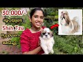 30,000/- രൂപയുടെ Shih Tzu Puppy യെ മേടിച്ചു!!😍 | Finally Bought A New Pet Dog | Lidiya Francis