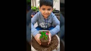 Plantation Activity for Kids
