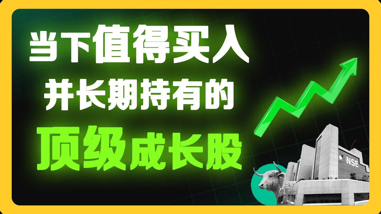 26年值得买入并长期持有的顶级成长股 #美股 #股票分析