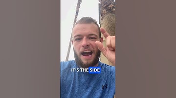 What are perceptual positions?