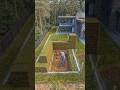 🌲🏡 Transparent Forest House Hides an Epic Underground Bunker! 😱⛏️ #Timelapse#viralshorts #aivideo