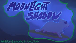 🌐MOONLIGHT SHADOW🌐 Spotfur & Stemleaf Warriors PMV/AMV (Broken Code #4 Spoilers)