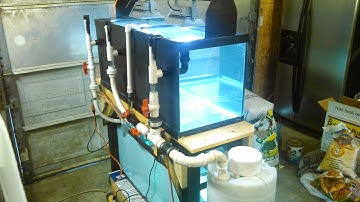 Diy Bean Animal Aquarium Drain Overflow with Sight Glasses