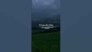 ما تيسر من سورة الدُّخَان / القارئ أحمد النفيس 🌹