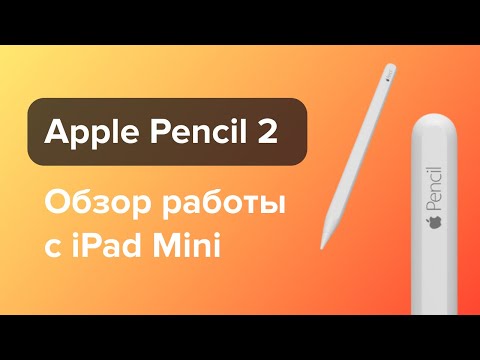 Обзор Apple Pencil 2. Возможности, фишки, личный опыт использования.