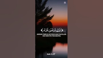 ما أجمل القرآن الكريم 🤍🤍 #القرآن_الكريم