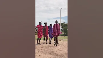 How High Can He Jump High Energy Maasai Warriors Dance Shorts 