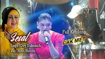SESAL (ELVY SUKAESIH) VOC. NOVI NOVITA - ky ageng lagi fokus ampuh tenan - AGENG MUSIK MIANKS