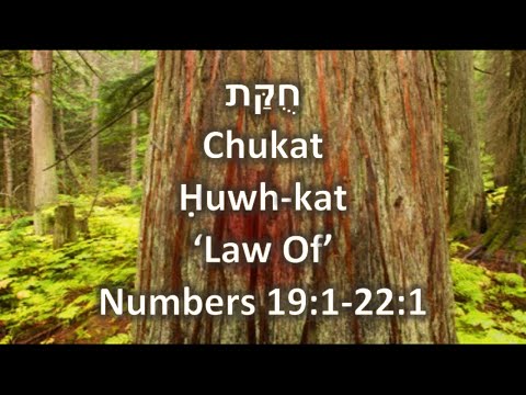 Decree Of (Torah Portion: Chukat) 2020 - 2021