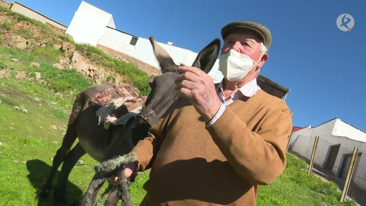 La Shakira de Valencia del Ventoso | Puerta con Puerta