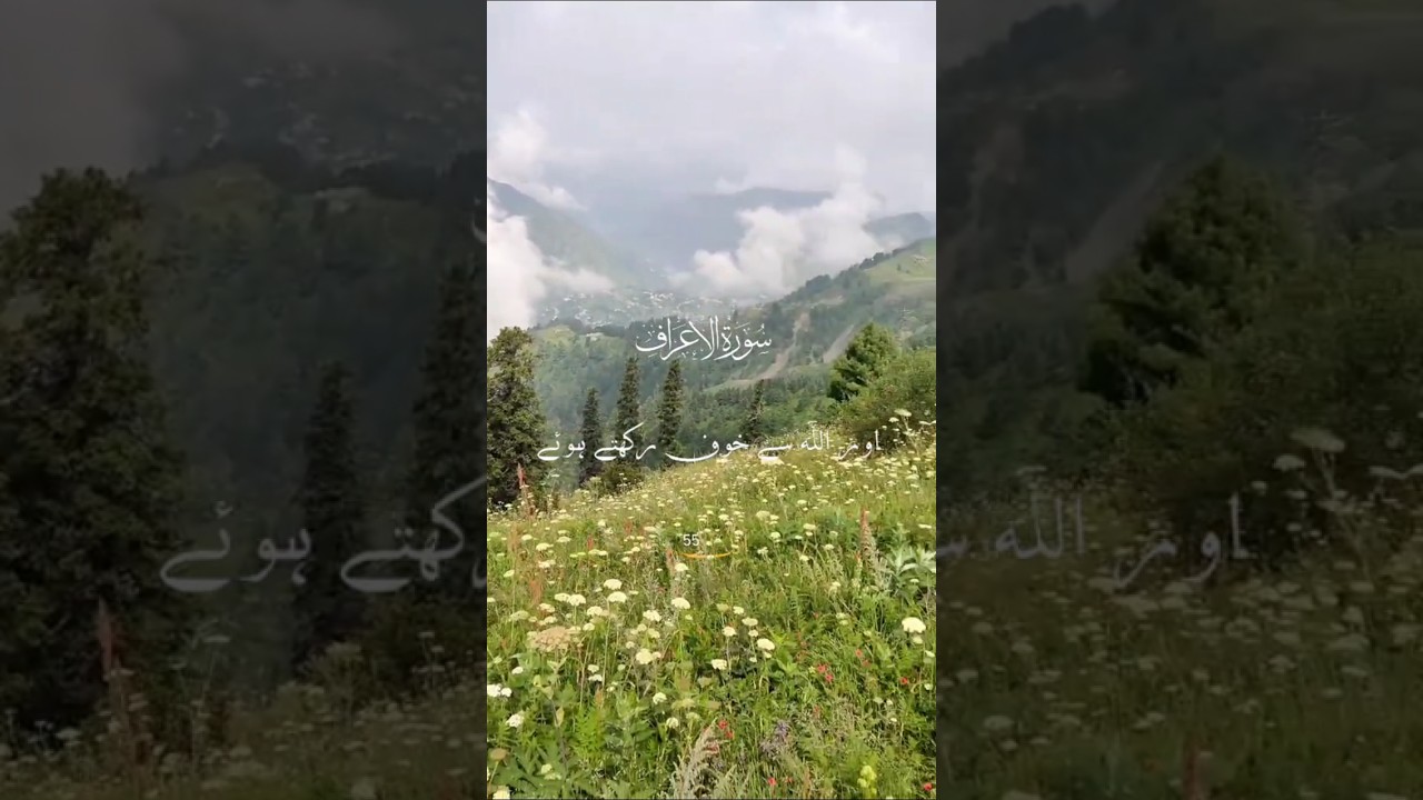 Islamic bayan | show Reality of life 