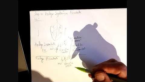 Cours L3, LF, Analyse Ascendante