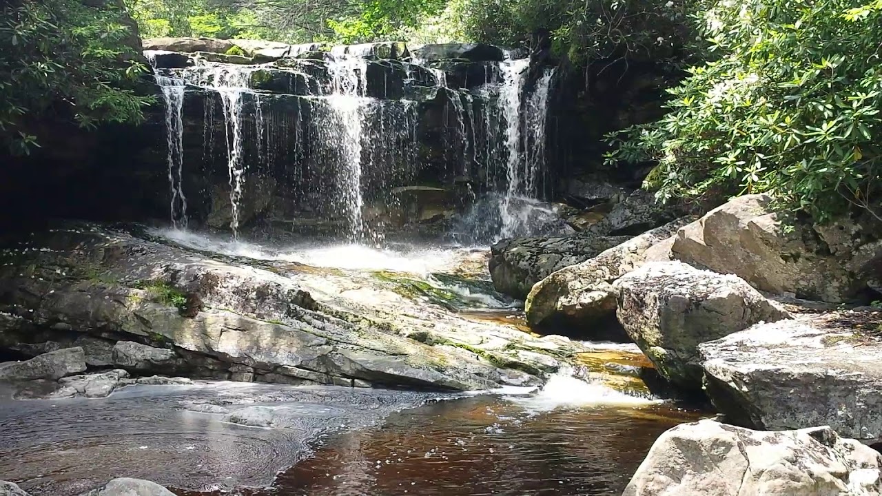 The upper falls on Big Run, Monongahela National Forest YouTube