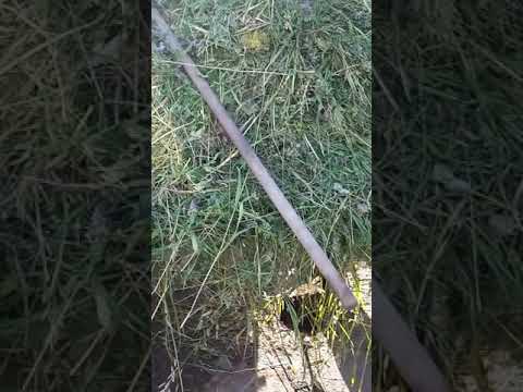 Небольшой обзор кормильца
