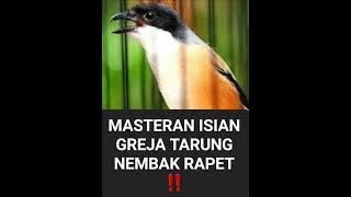 MASTERAN PENTET ISIAN GREJA‼️ DENGAN JEDA...