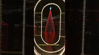 🎄 Градот со вкус на симит во пресрет на Новата 2025 • Крива Паланка 🇲🇰 #krivapalanka #macedonia