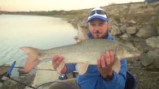 Pescuit pe raul Mures cu Elegance Pro 3.60 - 60 gr.