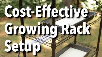 A Cost-Effective Hydroponic Microgreen Growing Rack Setup!