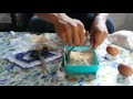 CARA MEMBUAT UMPAN IKAN NILA ,FEED TILAPIA,