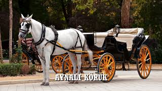 Aynali Körük