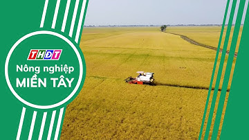 Ngành nông nghiệp triển khai kế hoạch giảm phát thải đến năm 2050 | Nông nghiệp Miền Tây