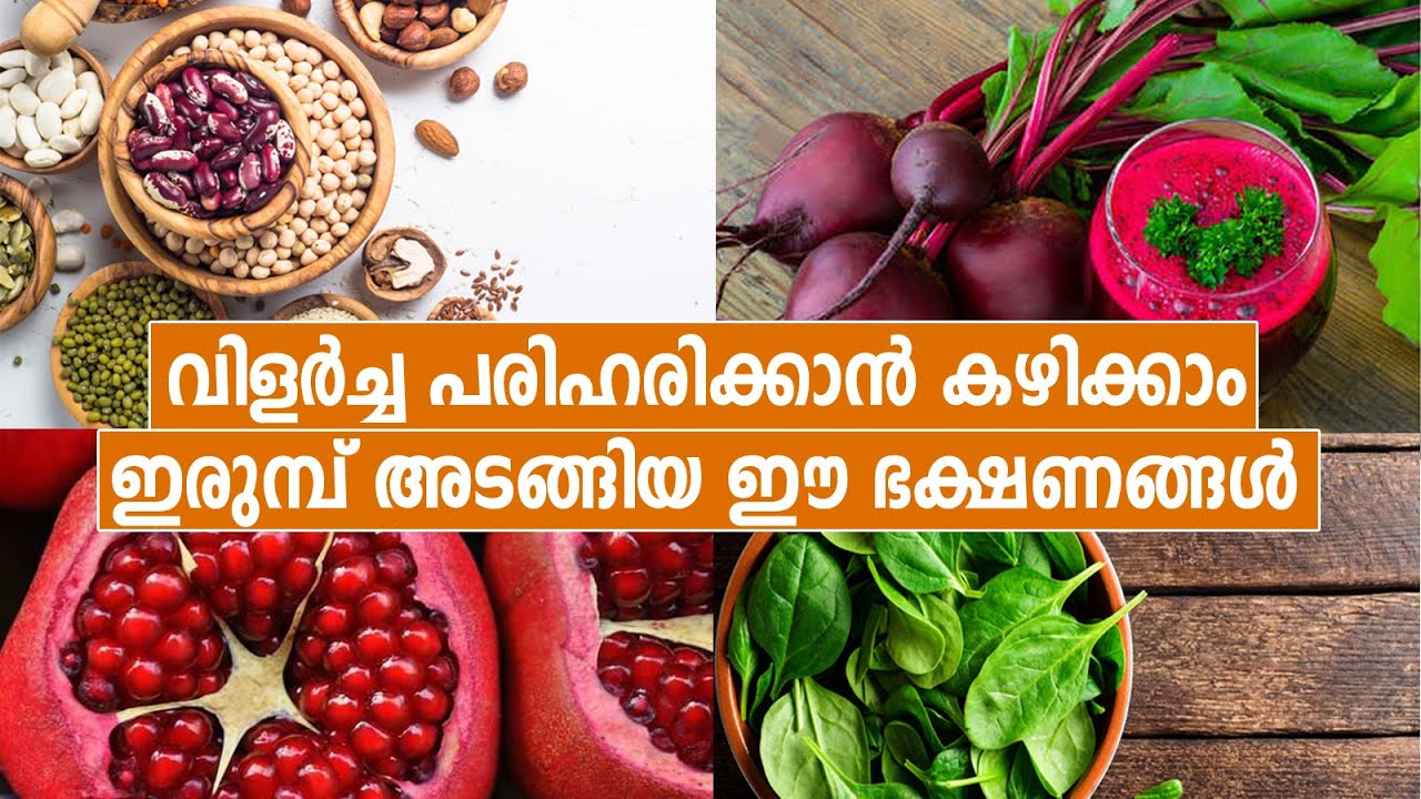 Best IronRich Foods To Treat Anemia ഇരുമ്പ് അടങ്ങിയ ഭക്ഷണങ്ങൾ ഇവയാണ്
