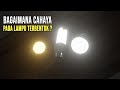 Bulb Adalah