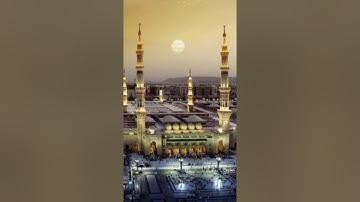 تلاوه جميله و نادره ل الشيخ محمد ايوب (رحمه الله) ما تيسر من سورة النمل