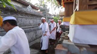 Download lagu Buda Kliwon Pahang (Pendet)