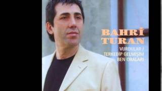 Bahri Turan - Mahvettin Resimi