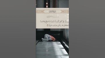 وتوكل على الحي الذي لا يموت ✨🤍 #عمر_بن_ضياء_الدين #quran #القرآن_الكريم #religion #explore #تلاوة