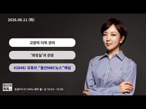 고양이 더위 관리/ 지방러의 시간여행: 화장실의 역사 (2026.08.11(화)/퇴근길톡톡/ 울산MBC 라디오)