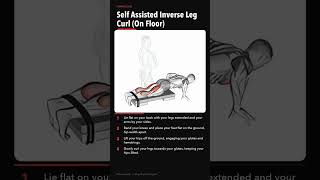 Hamstrings Builder | Self Assisted Inverse Leg Curl